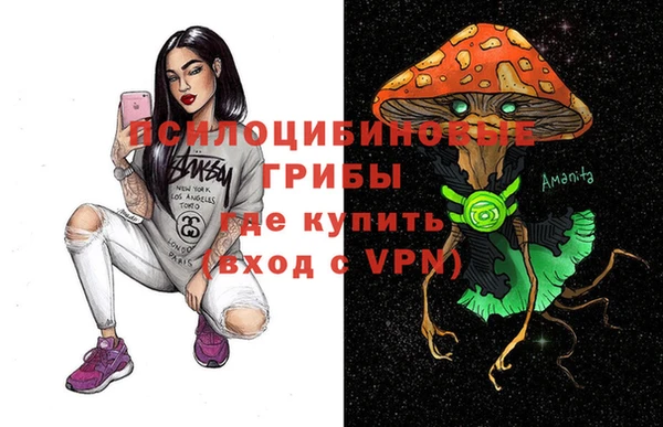 apvp Алексин