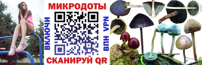 Псилоцибиновые грибы ЛСД  Шацк 